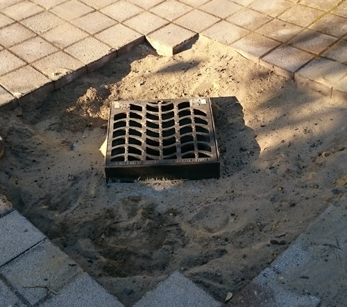 Many issues are caused by paving over grates.